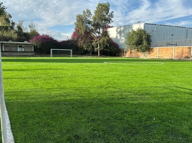 Canchas